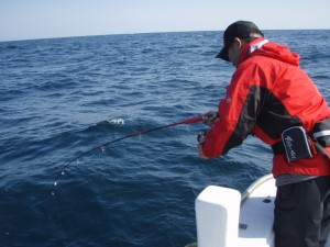 遊漁船(ジギング,キャスティング,タイラバ,ルアー,フィッシングボート)優 遊漁船(ジギング,キャスティング,タイラバ,ルアー,フィッシングボート)優