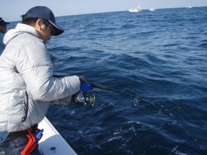 遊漁船(ジギング,キャスティング,タイラバ,ルアー,フィッシングボート)優 遊漁船(ジギング,キャスティング,タイラバ,ルアー,フィッシングボート)優