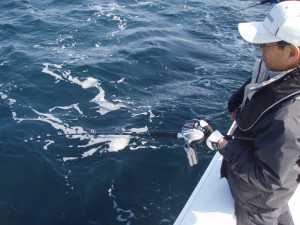 遊漁船(ジギング,キャスティング,タイラバ,ルアー,フィッシングボート)優 遊漁船(ジギング,キャスティング,タイラバ,ルアー,フィッシングボート)優