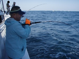 遊漁船(ジギング,キャスティング,タイラバ,ルアー,フィッシングボート)優 遊漁船(ジギング,キャスティング,タイラバ,ルアー,フィッシングボート)優