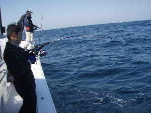 遊漁船(ジギング,キャスティング,タイラバ,ルアー,フィッシングボート)優 遊漁船(ジギング,キャスティング,タイラバ,ルアー,フィッシングボート)優