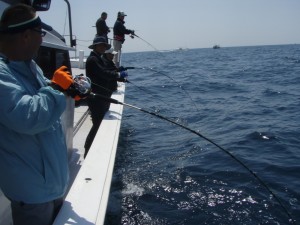 遊漁船(ジギング,キャスティング,タイラバ,ルアー,フィッシングボート)優 遊漁船(ジギング,キャスティング,タイラバ,ルアー,フィッシングボート)優