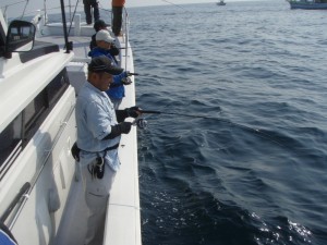 遊漁船(ジギング,キャスティング,タイラバ,ルアー,フィッシングボート)優 遊漁船(ジギング,キャスティング,タイラバ,ルアー,フィッシングボート)優