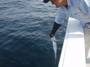 遊漁船(ジギング,キャスティング,タイラバ,ルアー,フィッシングボート)優 遊漁船(ジギング,キャスティング,タイラバ,ルアー,フィッシングボート)優