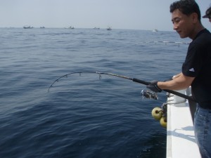 遊漁船(ジギング,キャスティング,タイラバ,ルアー,フィッシングボート)優 遊漁船(ジギング,キャスティング,タイラバ,ルアー,フィッシングボート)優