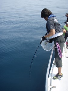 遊漁船(ジギング,キャスティング,タイラバ,ルアー,フィッシングボート)優 遊漁船(ジギング,キャスティング,タイラバ,ルアー,フィッシングボート)優