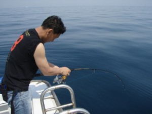 遊漁船(ジギング,キャスティング,タイラバ,ルアー,フィッシングボート)優 遊漁船(ジギング,キャスティング,タイラバ,ルアー,フィッシングボート)優