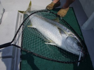 遊漁船(ジギング,キャスティング,タイラバ,ルアー,フィッシングボート)優 遊漁船(ジギング,キャスティング,タイラバ,ルアー,フィッシングボート)優