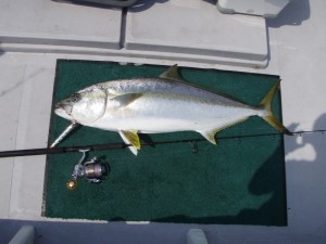 遊漁船(ジギング,キャスティング,タイラバ,ルアー,フィッシングボート)優 遊漁船(ジギング,キャスティング,タイラバ,ルアー,フィッシングボート)優