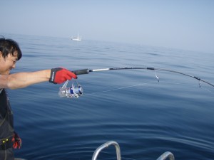 遊漁船(ジギング,キャスティング,タイラバ,ルアー,フィッシングボート)優 遊漁船(ジギング,キャスティング,タイラバ,ルアー,フィッシングボート)優