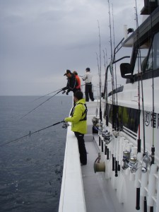 遊漁船（ジギング，キャスティング，タイラバ，ルアー，フィッシングボート）優