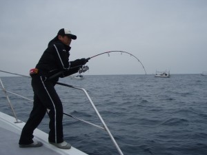 遊漁船（ジギング，キャスティング，タイラバ，ルアー，フィッシングボート）優