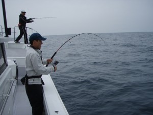 遊漁船（ジギング，キャスティング，タイラバ，ルアー，フィッシングボート）優