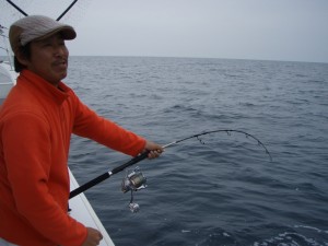 遊漁船（ジギング，キャスティング，タイラバ，ルアー，フィッシングボート）優