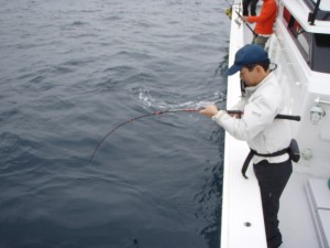 遊漁船（ジギング，キャスティング，タイラバ，ルアー，フィッシングボート）優