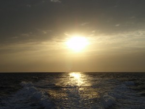 遊漁船（ジギング，キャスティング，タイラバ，ルアー，フィッシングボート）優