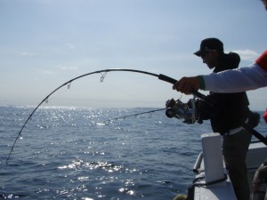 遊漁船(ジギング,キャスティング,タイラバ,ルアー,フィッシングボート)優 遊漁船(ジギング,キャスティング,タイラバ,ルアー,フィッシングボート)優