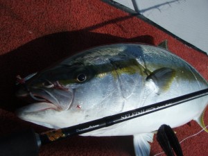 遊漁船(ジギング,キャスティング,タイラバ,ルアー,フィッシングボート)優 遊漁船(ジギング,キャスティング,タイラバ,ルアー,フィッシングボート)優