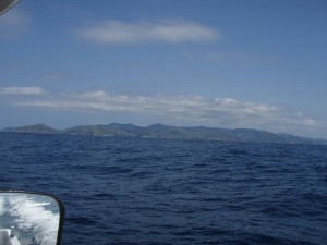 遊漁船(ジギング,キャスティング,タイラバ,ルアー,フィッシングボート)優 遊漁船(ジギング,キャスティング,タイラバ,ルアー,フィッシングボート)優