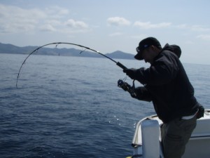 遊漁船(ジギング,キャスティング,タイラバ,ルアー,フィッシングボート)優 遊漁船(ジギング,キャスティング,タイラバ,ルアー,フィッシングボート)優