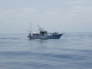 遊漁船(ジギング,キャスティング,タイラバ,ルアー,フィッシングボート)優 遊漁船(ジギング,キャスティング,タイラバ,ルアー,フィッシングボート)優