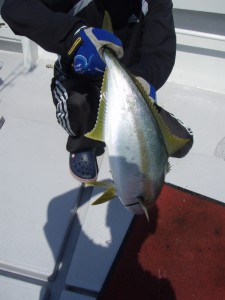 遊漁船(ジギング,キャスティング,タイラバ,ルアー,フィッシングボート)優 遊漁船(ジギング,キャスティング,タイラバ,ルアー,フィッシングボート)優