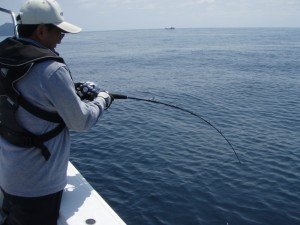 遊漁船(ジギング,キャスティング,タイラバ,ルアー,フィッシングボート)優 遊漁船(ジギング,キャスティング,タイラバ,ルアー,フィッシングボート)優