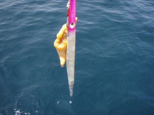 遊漁船(ジギング,キャスティング,タイラバ,ルアー,フィッシングボート)優 遊漁船(ジギング,キャスティング,タイラバ,ルアー,フィッシングボート)優