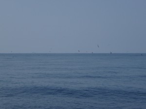 遊漁船(ジギング,キャスティング,タイラバ,ルアー,フィッシングボート)優 遊漁船(ジギング,キャスティング,タイラバ,ルアー,フィッシングボート)優