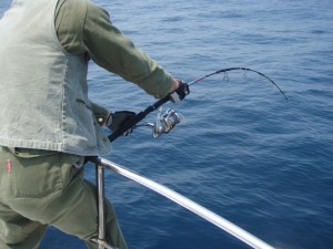 遊漁船(ジギング,キャスティング,タイラバ,ルアー,フィッシングボート)優 遊漁船(ジギング,キャスティング,タイラバ,ルアー,フィッシングボート)優