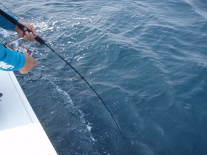 遊漁船(ジギング,キャスティング,タイラバ,ルアー,フィッシングボート)優 遊漁船(ジギング,キャスティング,タイラバ,ルアー,フィッシングボート)優