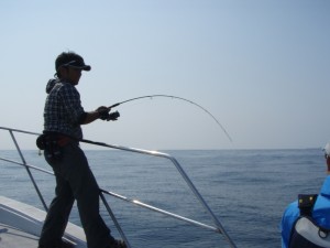 遊漁船(ジギング,キャスティング,タイラバ,ルアー,フィッシングボート)優 遊漁船(ジギング,キャスティング,タイラバ,ルアー,フィッシングボート)優