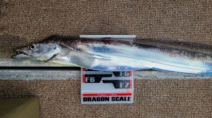 LINE_ALBUM_2023710_230711_12