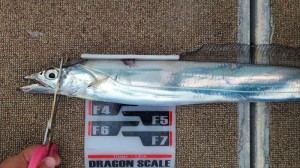 LINE_ALBUM_2023710_230711_9