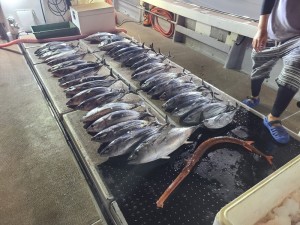 LINE_ALBUM_2023102_231002_13