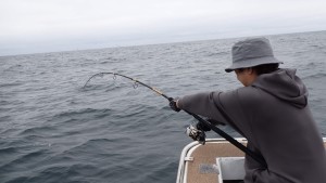 変換 ~ P4300016 - コピー