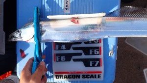 変換 ～ P7170093 - コピー