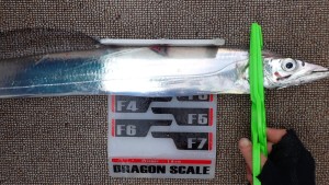 変換 ～ P7170091 - コピー