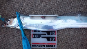 変換 ～ P7190182 - コピー