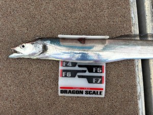 LINE_ALBUM_20240709_240711_6 - コピー