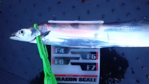 変換 ～ P7160043 - コピー