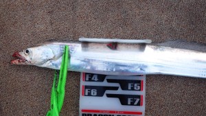 変換 ～ P7190176 - コピー