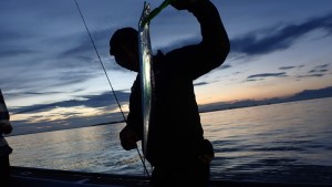 変換 ～ P7170076 - コピー