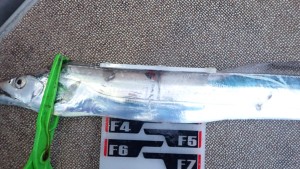 変換 ～ P7160045 - コピー