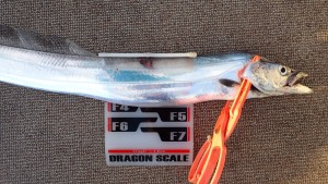 変換 ～ P7190186 - コピー