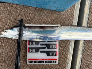 LINE_ALBUM_20240709_240711_3 - コピー