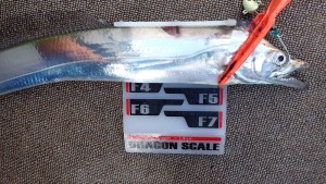 変換 ～ P7190188 - コピー