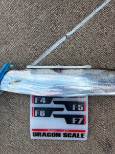 LINE_ALBUM_20240704_240704_24