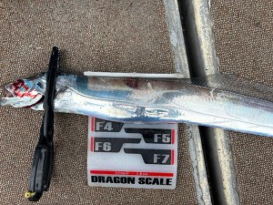 LINE_ALBUM_20240709_240711_1