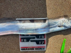 LINE_ALBUM_20240721_240721_11